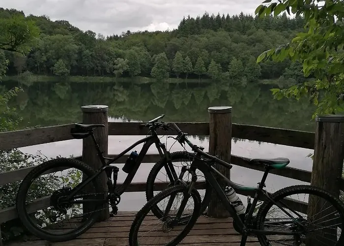 Lejlighed Alte Schule Daun